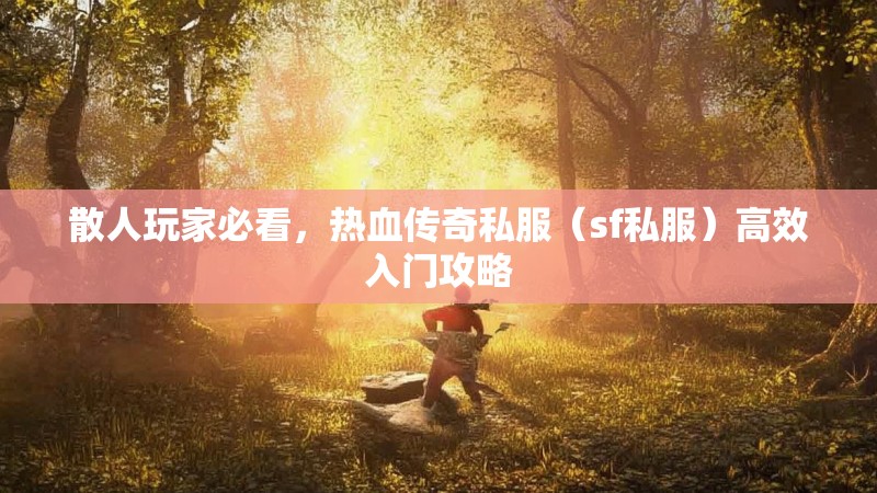 散人玩家必看，热血传奇私服（sf私服）高效入门攻略