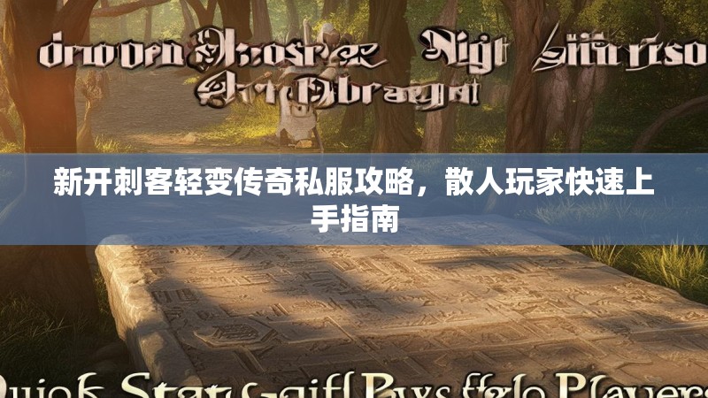 新开刺客轻变传奇私服攻略，散人玩家快速上手指南