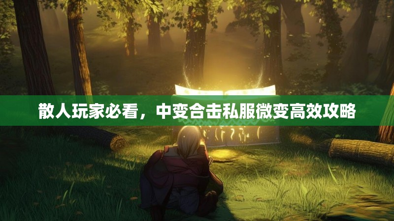 散人玩家必看，中变合击私服微变高效攻略