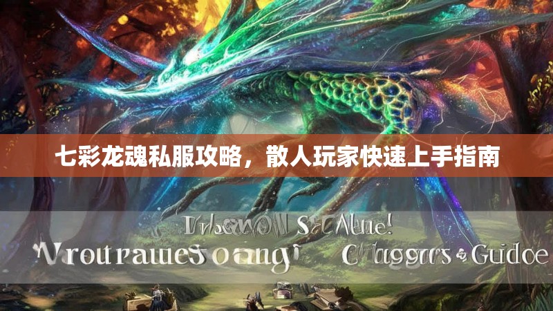 七彩龙魂私服攻略，散人玩家快速上手指南