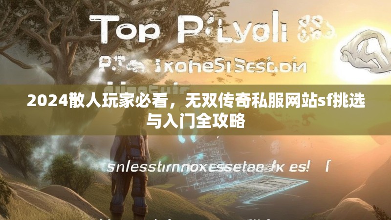 2024散人玩家必看，无双传奇私服网站sf挑选与入门全攻略