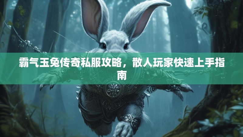 霸气玉兔传奇私服攻略，散人玩家快速上手指南