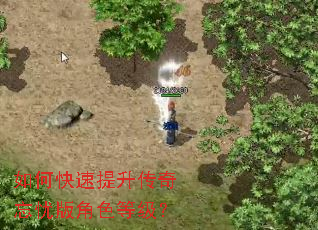 如何快速提升传奇忘忧版角色等级？