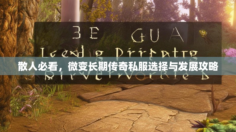 散人必看，微变长期传奇私服选择与发展攻略