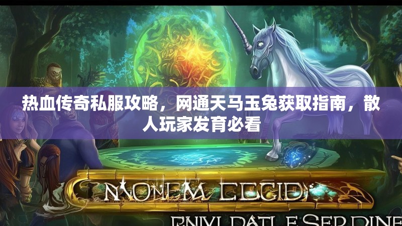 热血传奇私服攻略，网通天马玉兔获取指南，散人玩家发育必看