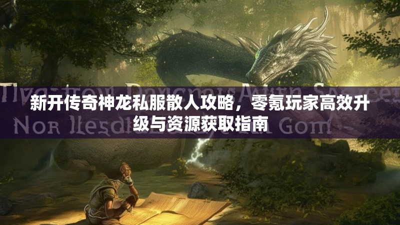 新开传奇神龙私服散人攻略，零氪玩家高效升级与资源获取指南