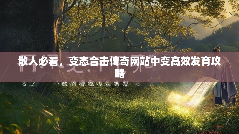 散人必看，变态合击传奇网站中变高效发育攻略