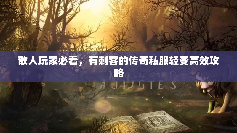 散人玩家必看，有刺客的传奇私服轻变高效攻略