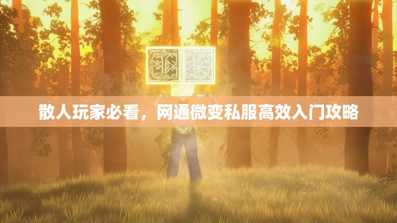 散人玩家必看，网通微变私服高效入门攻略