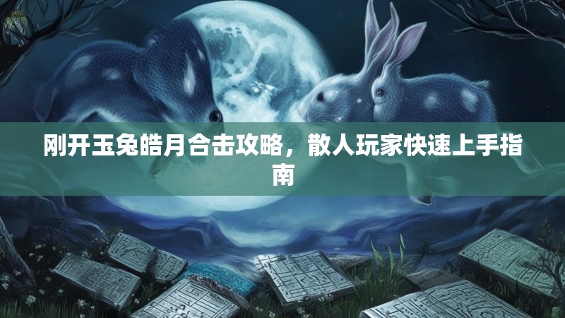 刚开玉兔皓月合击攻略，散人玩家快速上手指南