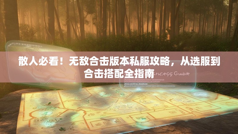 散人必看！无敌合击版本私服攻略，从选服到合击搭配全指南
