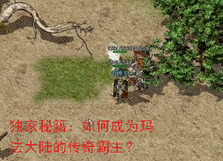 独家秘籍：如何成为玛法大陆的传奇霸主？