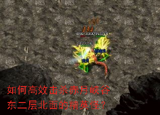 如何高效击杀赤月峡谷东二层北面的精英怪？