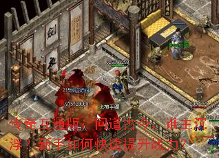传奇互通版：问道古今，谁主沉浮？新手如何快速提升战力？