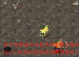 新手如何避开合击传奇的常见陷阱？从入门到进阶的实用攻略有哪些？