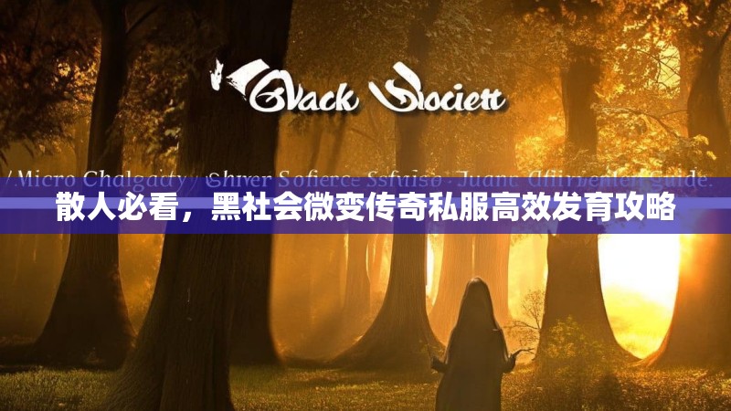 散人必看，黑社会微变传奇私服高效发育攻略