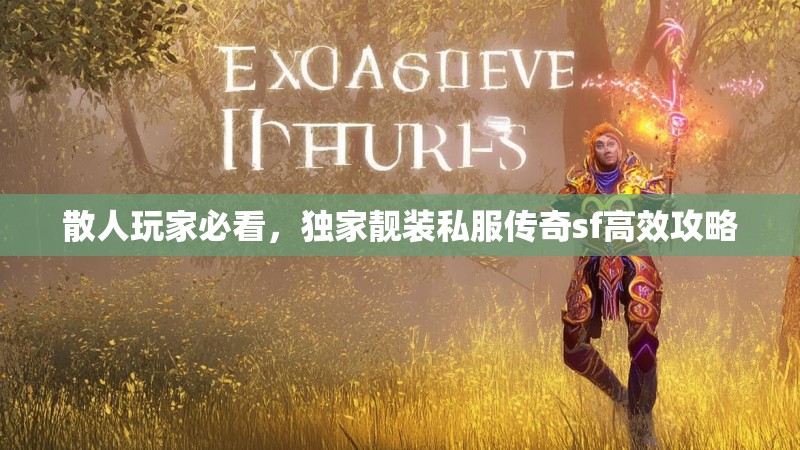 散人玩家必看，独家靓装私服传奇sf高效攻略