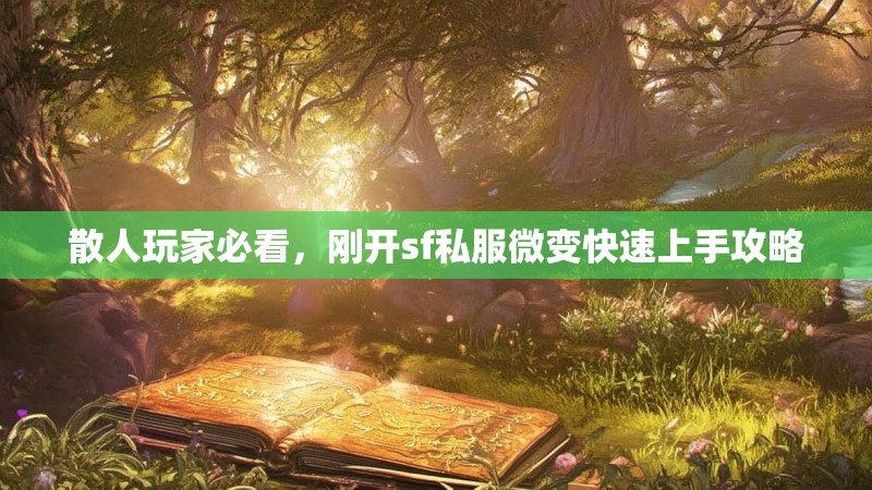 散人玩家必看，刚开sf私服微变快速上手攻略
