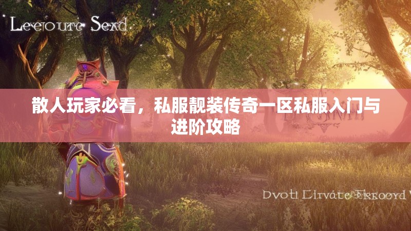 散人玩家必看，私服靓装传奇一区私服入门与进阶攻略