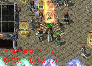 如何快速提升1.80红颜倍功合击的战斗力？