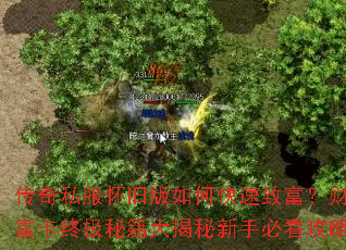 传奇私服怀旧版如何快速致富？财富卡终极秘籍大揭秘新手必看攻略