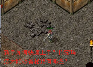 新手如何快速上手？称霸玛法大陆必备秘籍有哪些？