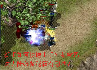 新手如何快速上手？称霸玛法大陆必备秘籍有哪些？