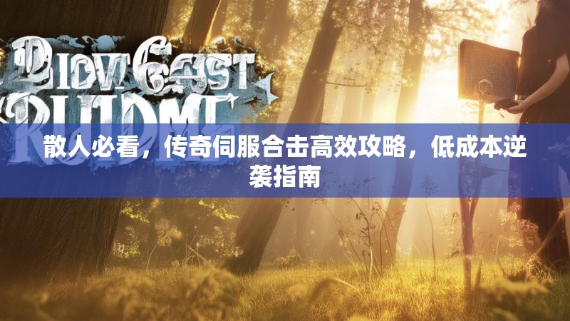 散人必看，传奇伺服合击高效攻略，低成本逆袭指南