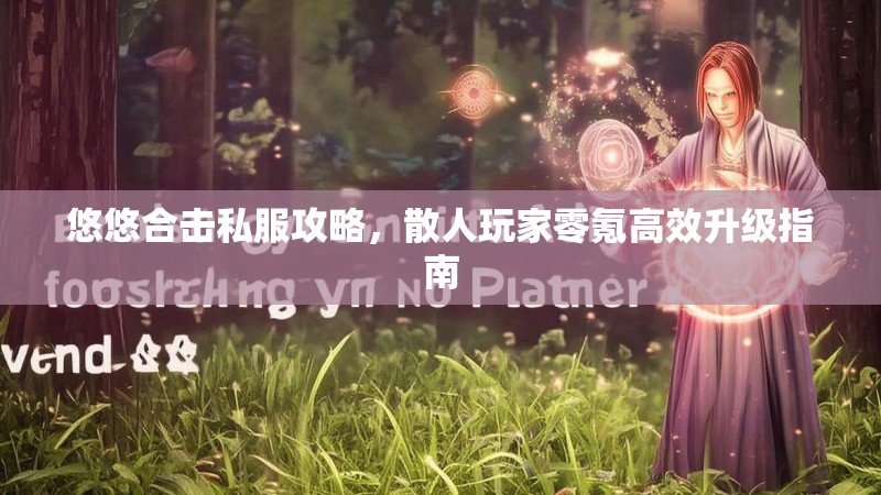 悠悠合击私服攻略，散人玩家零氪高效升级指南