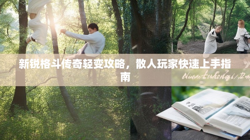 新锐格斗传奇轻变攻略，散人玩家快速上手指南