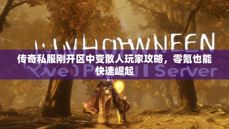 传奇私服刚开区中变散人玩家攻略，零氪也能快速崛起