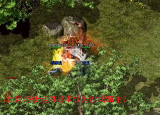 如何巧妙运用战术成为沙场霸主？