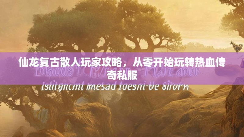 仙龙复古散人玩家攻略，从零开始玩转热血传奇私服