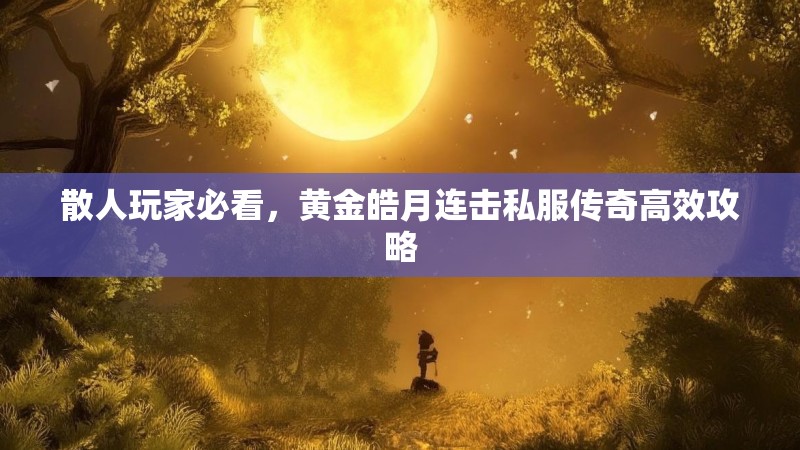 散人玩家必看，黄金皓月连击私服传奇高效攻略