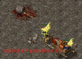 如何快速提升金猴传奇角色等级？