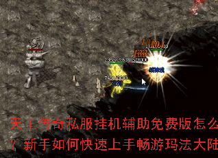 天王传奇私服挂机辅助免费版怎么用？新手如何快速上手畅游玛法大陆？