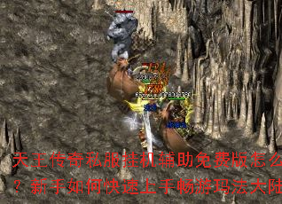 天王传奇私服挂机辅助免费版怎么用？新手如何快速上手畅游玛法大陆？
