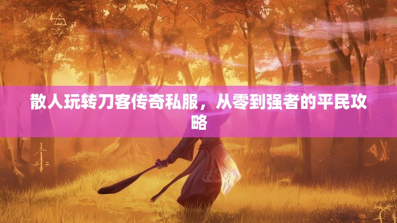 散人玩转刀客传奇私服，从零到强者的平民攻略