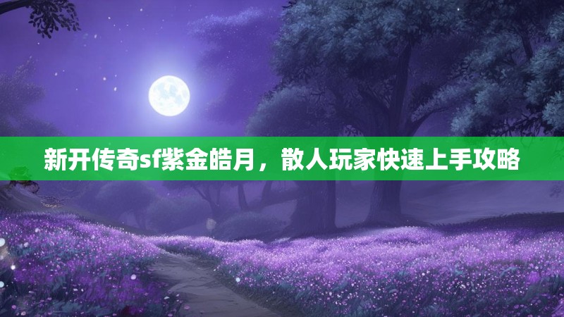 新开传奇sf紫金皓月，散人玩家快速上手攻略