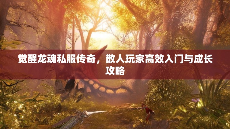 觉醒龙魂私服传奇，散人玩家高效入门与成长攻略