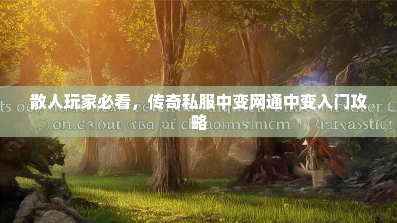 散人玩家必看，传奇私服中变网通中变入门攻略