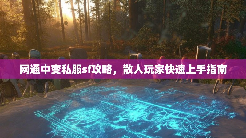 网通中变私服sf攻略，散人玩家快速上手指南