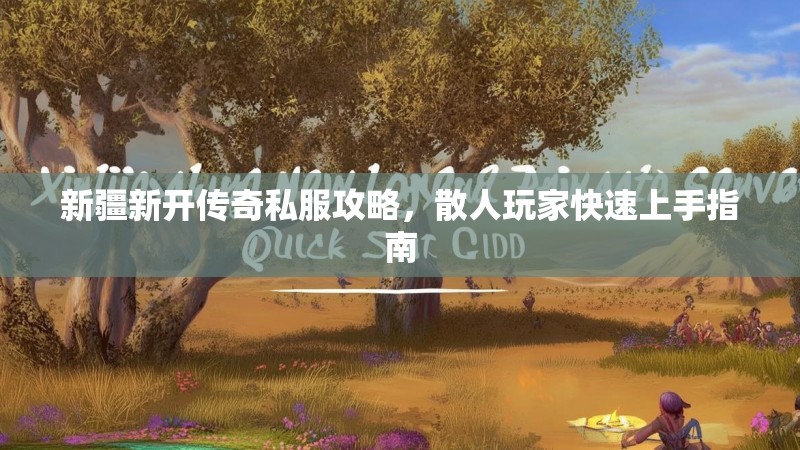 新疆新开传奇私服攻略，散人玩家快速上手指南