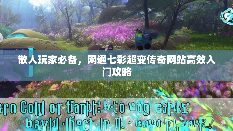 散人玩家必备，网通七彩超变传奇网站高效入门攻略