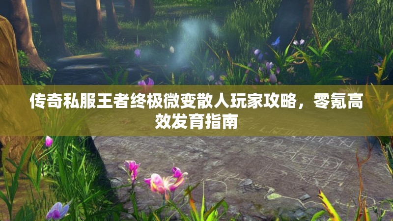 传奇私服王者终极微变散人玩家攻略，零氪高效发育指南