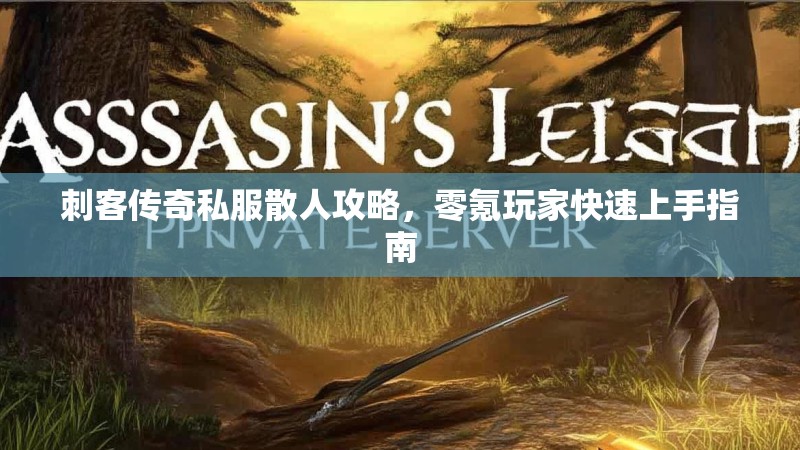 刺客传奇私服散人攻略，零氪玩家快速上手指南