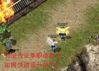 仙逆传说单职业新手如何快速提升战力？