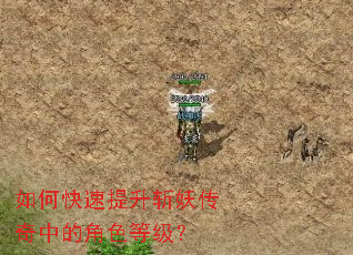 如何快速提升斩妖传奇中的角色等级？