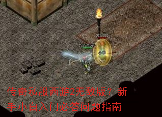 传奇私服西游2无敌版？新手小白入门必答问题指南