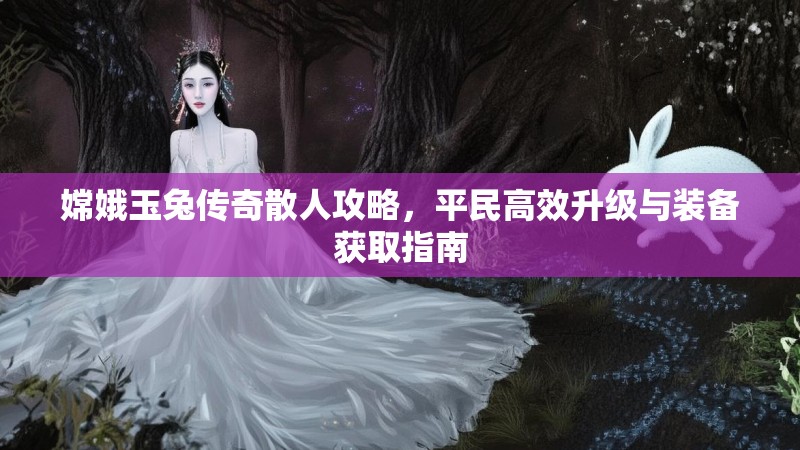 嫦娥玉兔传奇散人攻略，平民高效升级与装备获取指南